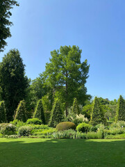 Well-trimmed cypress hedge shaped into triangular forms, showcasing precise topiary work and structured garden design