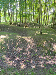 View of the remnants of Fleury-devant-Douaumont, France, where only craters remain, marking the devastation of World War I battles