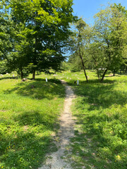 View of the remnants of Fleury-devant-Douaumont, France, where only craters remain, marking the devastation of World War I battles