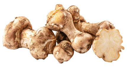 Fresh sun choke roots with natural texture and earthy appearance isolated on white background
