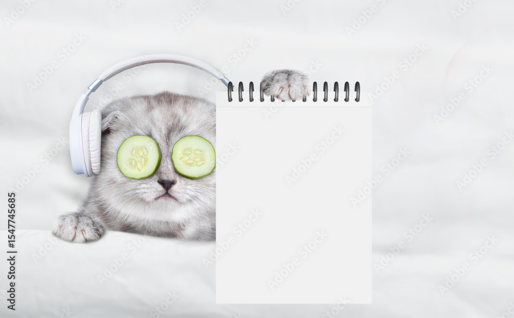 Aufkleber Cute tiny kitten lying on a bed with headphones on it head and with a pieces of cucumber on it eyes and showing blank notepad. Top down view. Empty space for text