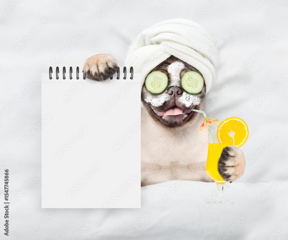 Poster funny pug puppy with towel on it head,with cream on it face and a pieces of cucumber on it eyes hold