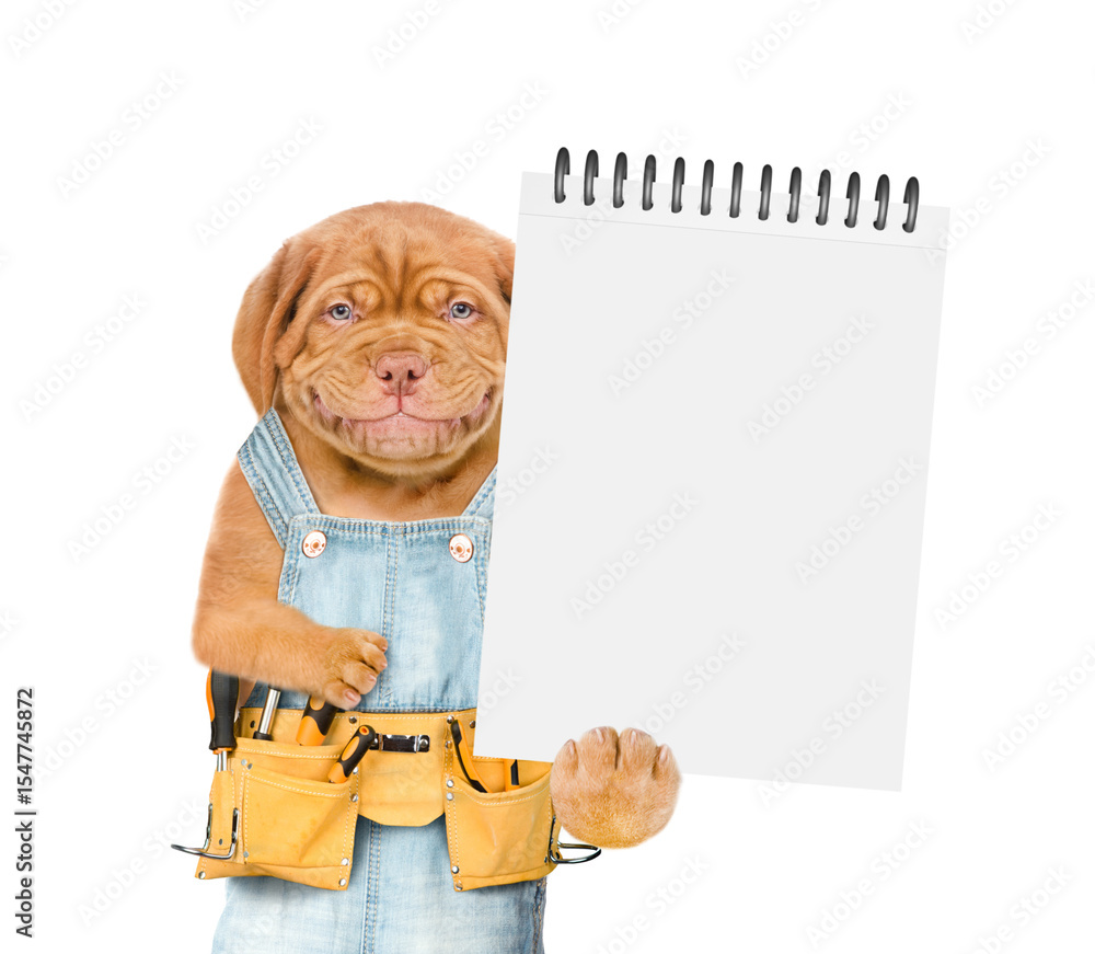Poster smiling mastiff puppy wearing denim overalls with tool belt shows blank notepad. isolated on white b