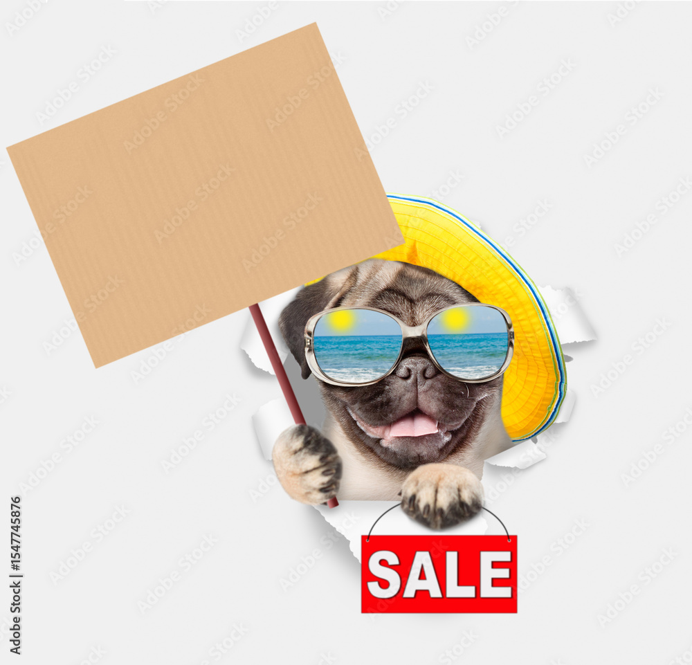 Poster funny pug puppy wearing summer hat and mirrored sunglasses looking through the hole in white paper a