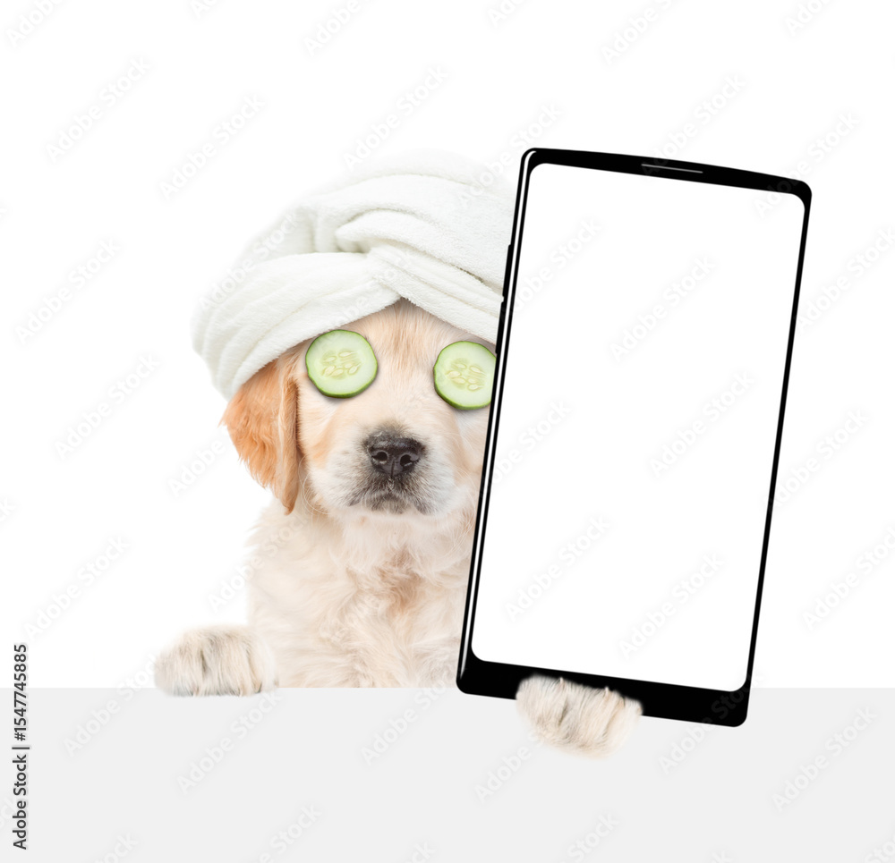 Poster golden retriever puppy with towel on it head, with pieces of cucumber on it eyes holds big smartphon