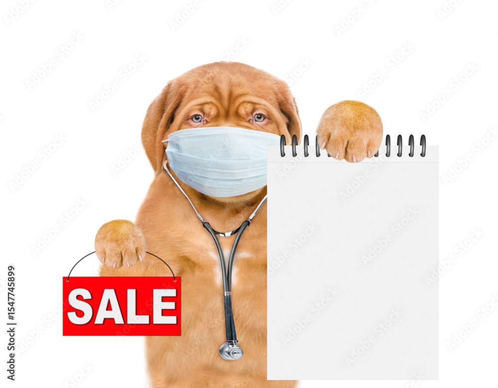 Poster funny puppy dressed like a doctor with stethoscope and protective mask showing blank notebook and ho