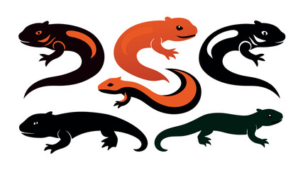 Set Of  Salamander forest animal logo vector