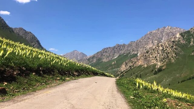 A peaceful journey along Minimarg Road, nestled between the majestic mountains of Skardu, Pakistan. Gentle curves, silent peaks, and wildflowers create a soulful escape into untouched&nbsp;natural&nbsp;wonder.