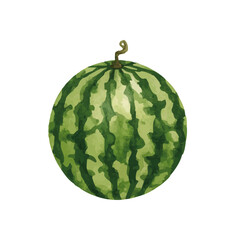 vector watercolor watermelon /水彩テイストのスイカイラスト