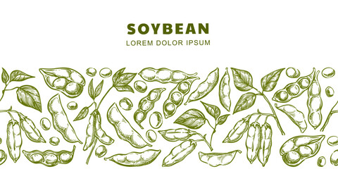 Soybean horizontal seamless background. Hand drawn sketch vector illustration of soybeans, pods, seeds on green plant
