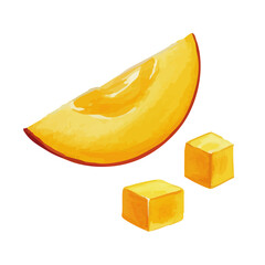 Vector watercolor Mango / 水彩テイストのマンゴーイラスト