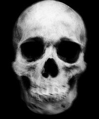 Scary grunge skull wallpaper. Halloween background.
