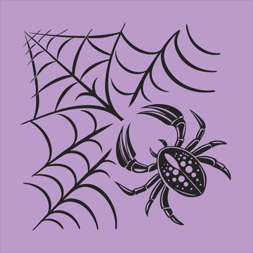 exploring  the facinating world of spiders incredible skills