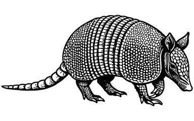 Detailed black and white vector illustration of an armadillo, showcasing its textured armor-like shell, pointed snout, and ringed tail in side profile.