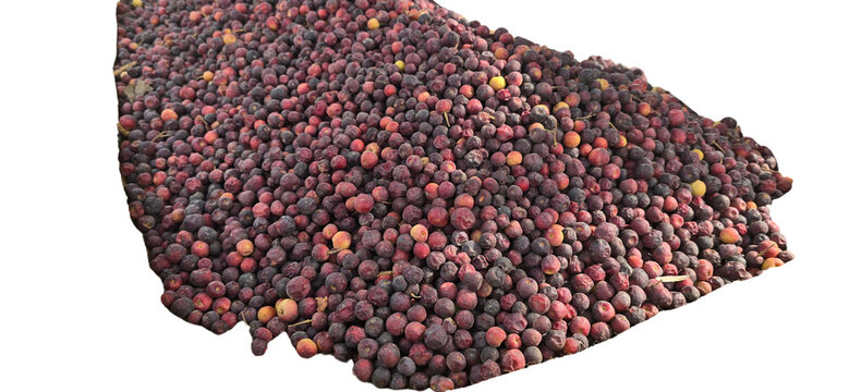 Pile of Fresh Phalsa Fruits PNG Isolated on White Background