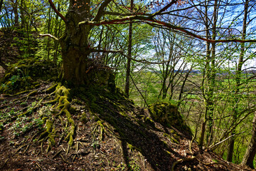 a beautiful day in the ancient town of Dollnstein