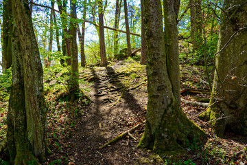 a beautiful day in the ancient town of Dollnstein