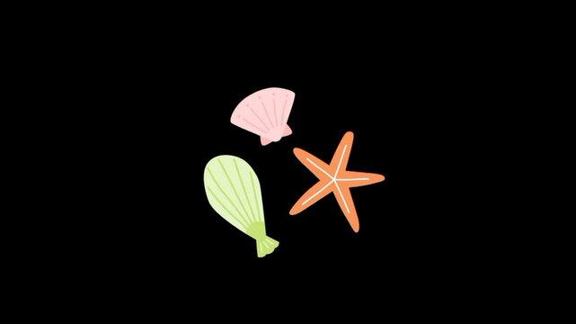 Seashells and starfish 3d animation 