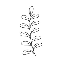 Hand drawn floral design. Monochrome illustration of close-packed oval leaves on a straight stem. Simple botanical element in linear doodle style. Vector 10 EPS.