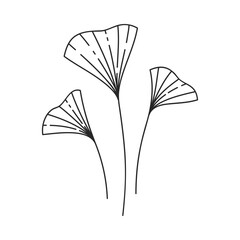Hand drawn floral design. Monochrome illustration of a ginkgo biloba leaves isolated on a white background. Simple botanical element in linear doodle style.