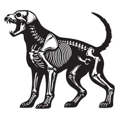 Study of a faithful form – Dog skeleton silhouette refined through detailed Dog skeleton vector – Dog skeleton illustration

