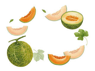 Vector watercolor melon / 水彩テイストのメロンイラスト