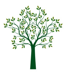 Shape of green Tree with Leaves. Vector outline Illustration.