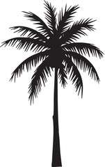 silhouette of palm tree