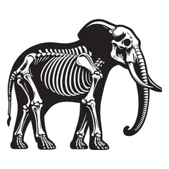 Structural beauty from the wild – Elephant skeleton silhouette with naturalistic Elephant skeleton vector – Elephant skeleton illustration

