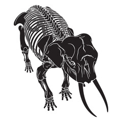Fototapeta premium A tribute to nature’s giant – Elephant skeleton silhouette drawn in bold Elephant skeleton vector – Elephant skeleton illustration