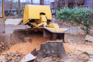 Stump grinder removes tree stump in residential area, creating wood chips debris on ground.