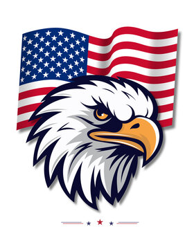EAGLE AND AMERICAN FLAG 