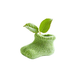 Tiny Green Sprout Emerging from a Baby Sock Symbol of New Life and Growth