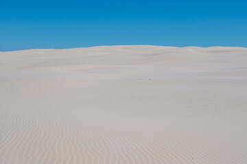 Expansive sandy landscape under a clear blue sky in Denmarks serene coastal areas