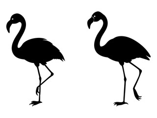Set of flamingo full black silhouette vector illustration design