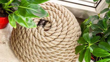 Coiled Nautical Rope for Maritime and Bushcraft Use with Green Indoor Leaves
