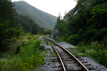  Railway tracks curving through green forest into mountains.