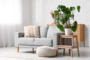 Sofa, pouf, ladder and Monstera houseplant in interior of room