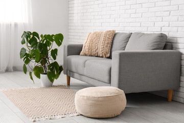 Pouf, sofa and Monstera houseplant near white brick wall in room, closeup