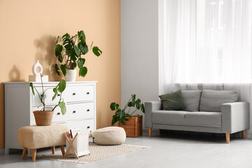 Interior of modern room with chest of drawers, sofa and Monstera houseplants