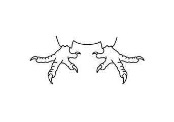 Parrot feet drawing. It is a black and white outline sketch of parrot feet, highlighting their strong grip and unique structure. Vector sketch line art draw.