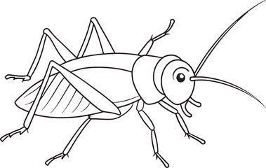 Cricket insect line drawing for kids coloring and nature learning