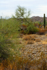 Winter San Tan Mountains Sonoran Desert Arizona