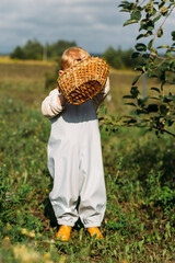 A small red-haired boy in overalls hid his eyes from the blinding sun with a wicker basket
