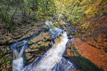 Cascading water carves through leafy rocks and glowing fall foliage at the Birks of Aberfeldy,...