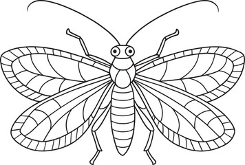 Lacewing insect line art printable for science coloring activity