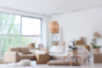 Blurred view of living room with sofas and cardboard boxes on moving day