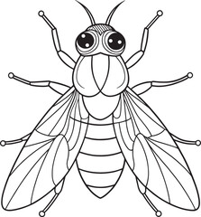 Horsefly insect detailed drawing for kids science coloring page