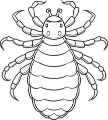 Lice insect line art for bug education and classroom coloring activity