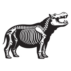 Powerful frame of the African giant – Hippopotamus skeleton silhouette and artistic Hippopotamus skeleton vector – Hippopotamus skeleton illustration

